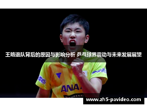 王皓退队背后的原因与影响分析 乒乓球界震动与未来发展展望