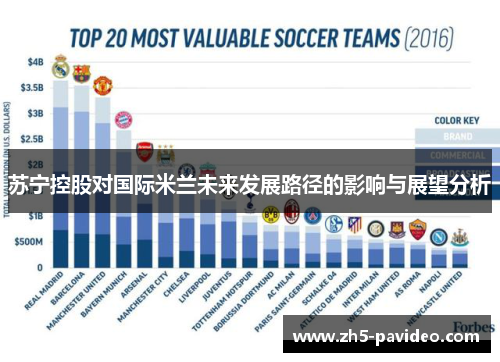 苏宁控股对国际米兰未来发展路径的影响与展望分析