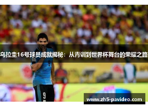 乌拉圭16号球员成就揭秘：从青训到世界杯舞台的荣耀之路