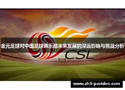 金元足球对中国足球俱乐部未来发展的深远影响与挑战分析