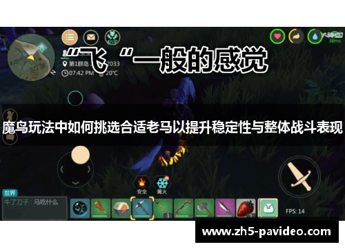 魔鸟玩法中如何挑选合适老马以提升稳定性与整体战斗表现