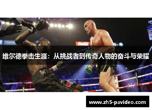 维尔德拳击生涯：从挑战者到传奇人物的奋斗与荣耀